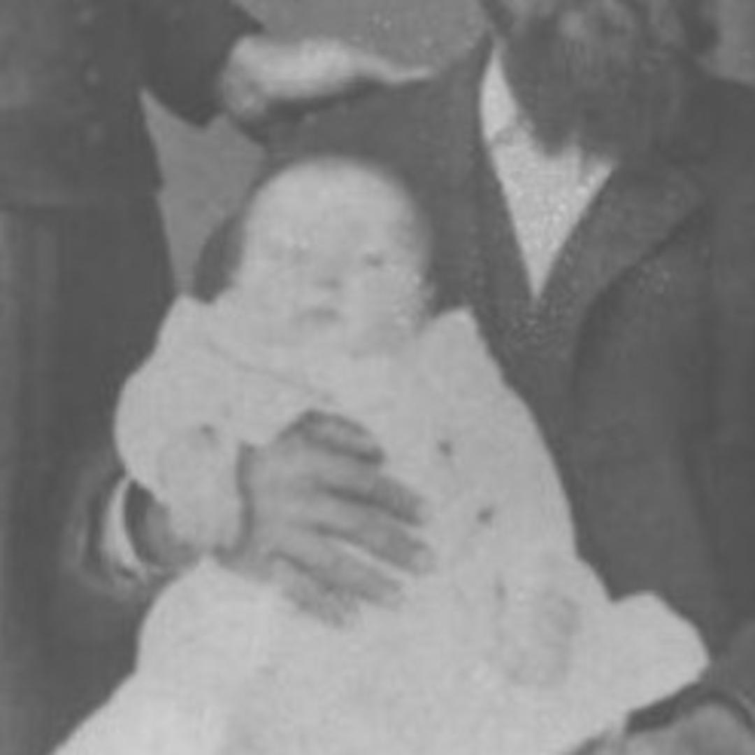 Selma Helena Nelson (1866 - 1946) Profile